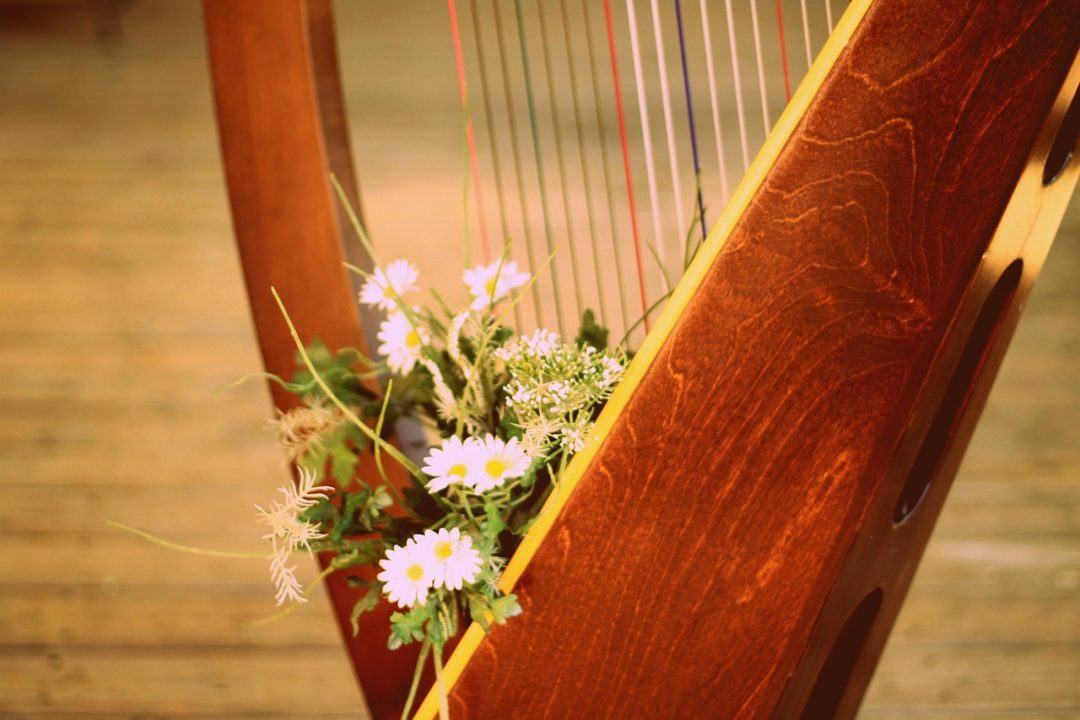 50 Intriguing Harp Facts You Never Knew Echoes of Elegance