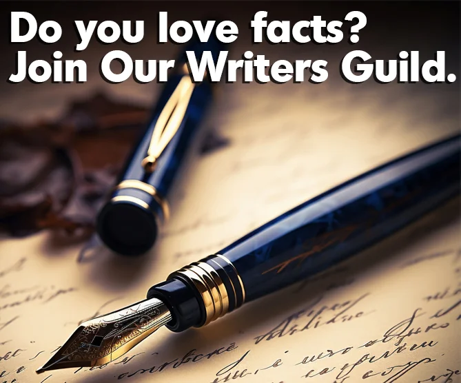 Contact Us To Be A Writer